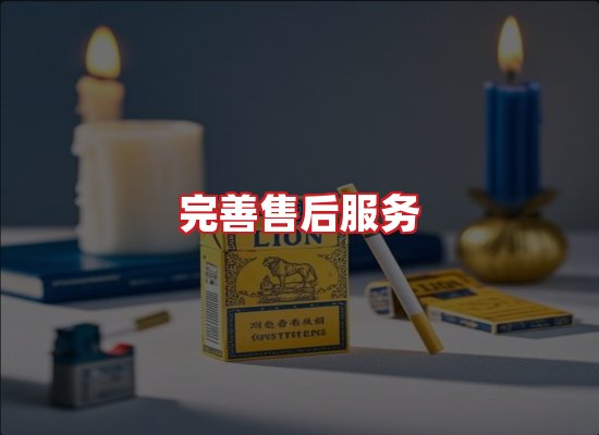 专业团队